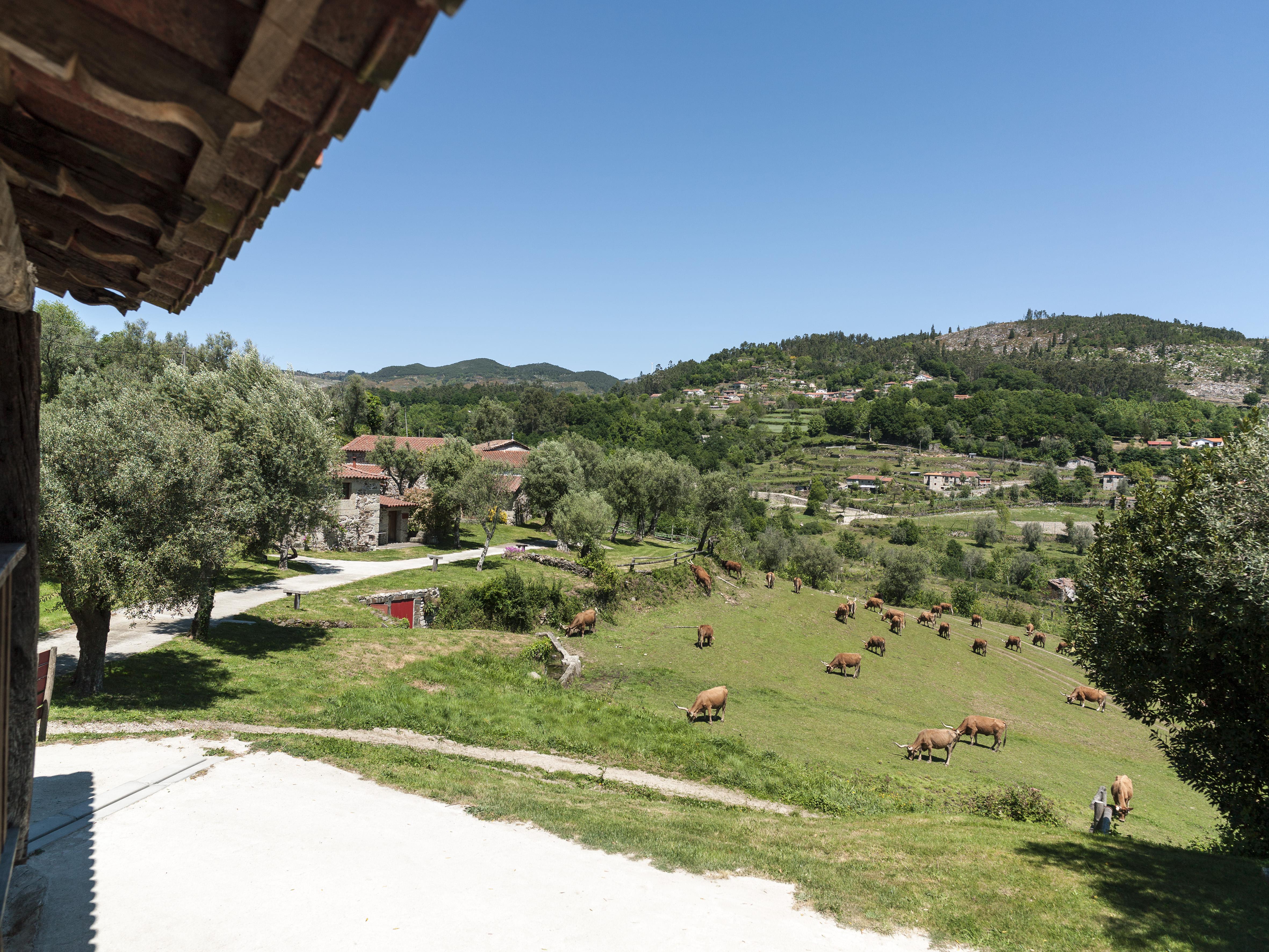 Вилла Quinta Do Rapozinho Кабесейраш-ди-Башту Экстерьер фото